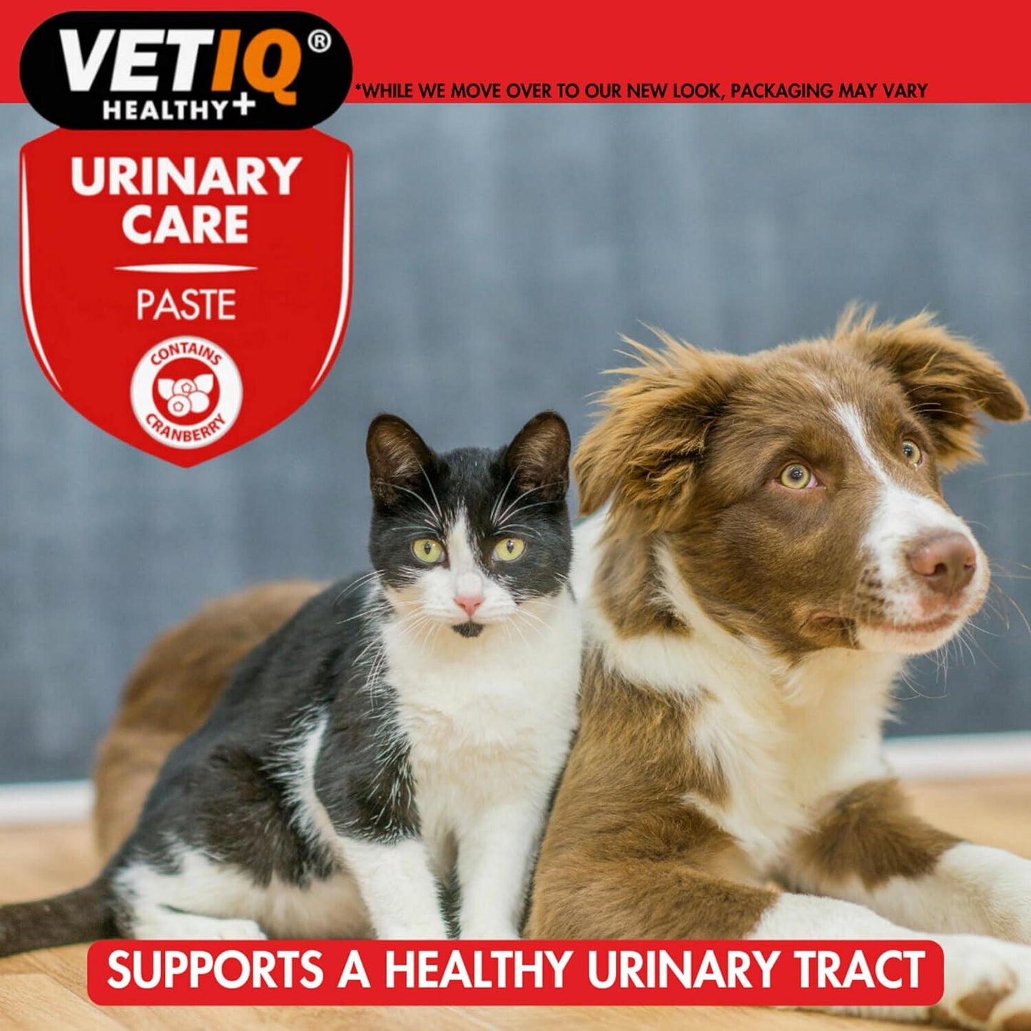 VETIQ Urinary Care Paste 100G Dog and Cat Urinary Supplement